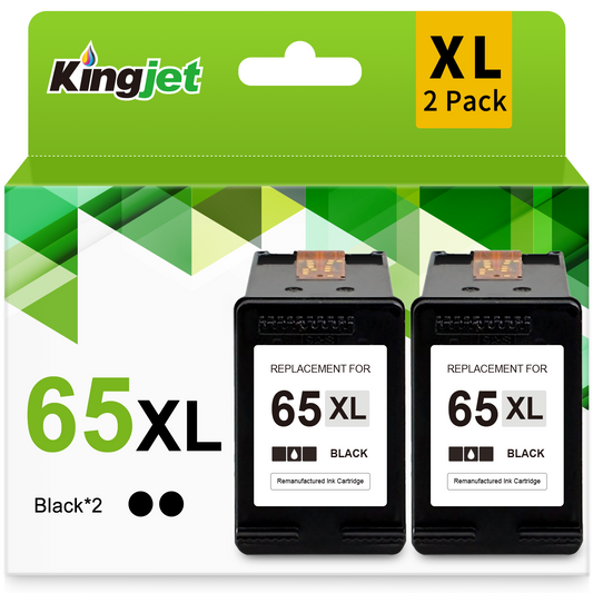 65XL Ink for HP Printer Ink 65 XL 65XL Black Ink Cartridge for HP Deskjet 2652 2652 3755 3752 2655 Envy 5055 5000 5052 5014 (2 Black)