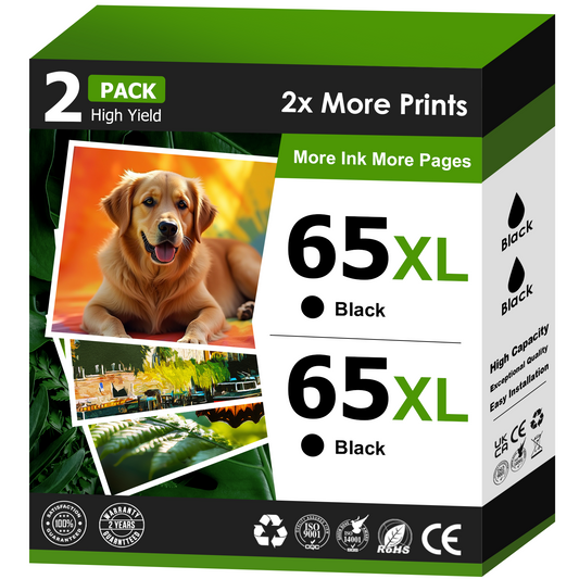65XL Ink for HP Printer Ink 65 XL 65XL Black Ink Cartridge for HP Deskjet 2652 2652 3755 3752 2655 Envy 5055 5000 5052 5014 (2 Black)